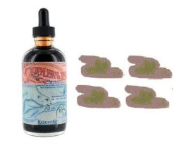 Noodlers Fountain Pen Ink Bottle - 4.5 Oz Polar Brown W/ Free Pen